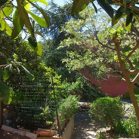Provence Cigale De Mer Et Soleil Appartamento